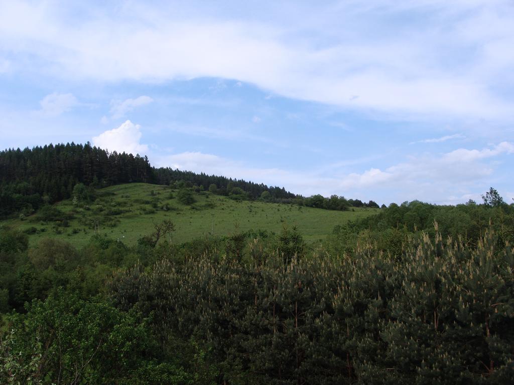 Angel Apartment Krynica Zdroj Dış mekan fotoğraf